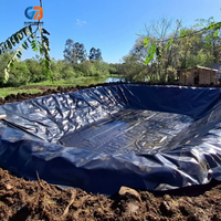 Bâche géomembrane HDPE 0,75 mm, imperméable, noire, résistante aux UV, pour bassin à poissons, aquaculture, barrage, réservoir