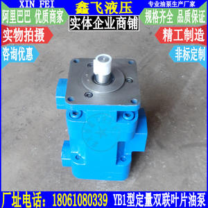 Bomba Hidráulica de Paletas Dobles de Desplazamiento Fijo YB1-63/63 YB1-80/80 YB1-100/100 de Alta Presión para Aplicaciones Hidráulicas - Product Image 1