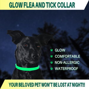 Vente chaude Protection à long terme Night Glow Collier de puces et de tiques pour animaux de compagnie Accessoire d'huile essentielle solide - Product Image 6