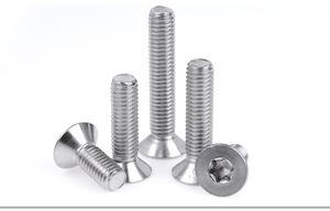 304 in acciaio inossidabile <span class=keywords><strong>testa</strong></span> <span class=keywords><strong>svasata</strong></span> Torx <span class=keywords><strong>vite</strong></span> M2 M3 M4 <span class=keywords><strong>M5</strong></span> M6 M8 <span class=keywords><strong>dimensioni</strong></span> ovale interno Torx bullone stella antifurto nichel plastica - Product Image 5