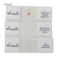 Medical Parasitology Prepared Slides Higher Education Microscope Slides