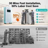 Sistem Penyimpanan Energi Rumah Tangga 10KW 51.2V yang Dapat Ditumpuk, Baterai LFP, Mudah Dipasang, Andal, Hybrid Grid untuk Proyek SEA, Grosir