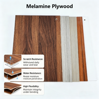 Panneau de contreplaqué mélaminé à âme en bois dur, imperméable, pour portes d'armoires, usines de meubles et projets de construction