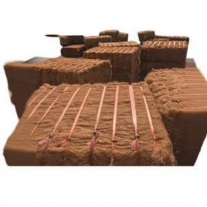 Tapis en fibre de coco écologique en gros, style uni, lavable, réversible, tailles personnalisées, haute qualité du Vietnam, meilleur prix - Product Image 1
