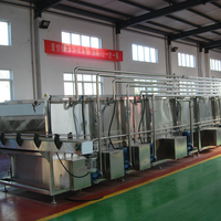 Automatique Type De Pulvérisation Bouteille de Bière Pasteurisateur Petit Tunnel Pasteurisateur