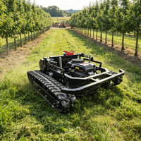 Tondeuse à gazon télécommandée certifiée CE - pour l'entretien des jardins avec un design compact et un contrôle facile, tondeuse à fléaux en promotion