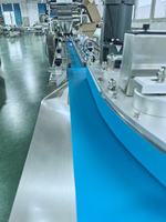 Machine d'emballage horizontale automatique pour biscuits et craquelins, avec remplissage et scellage