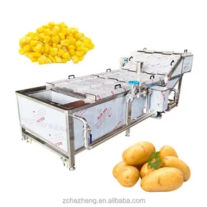Otomatik patates cipsi Blanching ekipmanları sebze haşlama makinesi