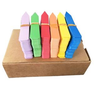 One Shape colorido plástico horticultura flor planície planta suculenta etiqueta, Garden Stake Tag, marcador de sementes/branco estacas planta - Product Image 5