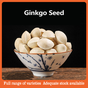 Graines de Ginkgo brutes séchées (Bai <span class=keywords><strong>Guo</strong></span>) en gros pour la santé et le bien-être naturels des reins - Product Image 5