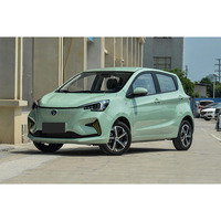 Changan Benben E-Star 2026, Auto Eléctrico Compacto, 310 km de Autonomía, Batería de Litio Hierro Fosfato, 5 Puertas, 5 Asientos, Vehículo de Nueva Energía