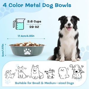 Tazones para Perros de Acero Inoxidable, Impresión a Color Ecológica, Varios Tamaños, Comedero para Mascotas - Product Image 2