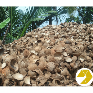 Oferta caliente 100% Cáscara de coco cruda para carbón de calidad premium para manualidades Suministro a granel a tarifas bajas Lista para exportar, lo mejor para la venta - Product Image 1