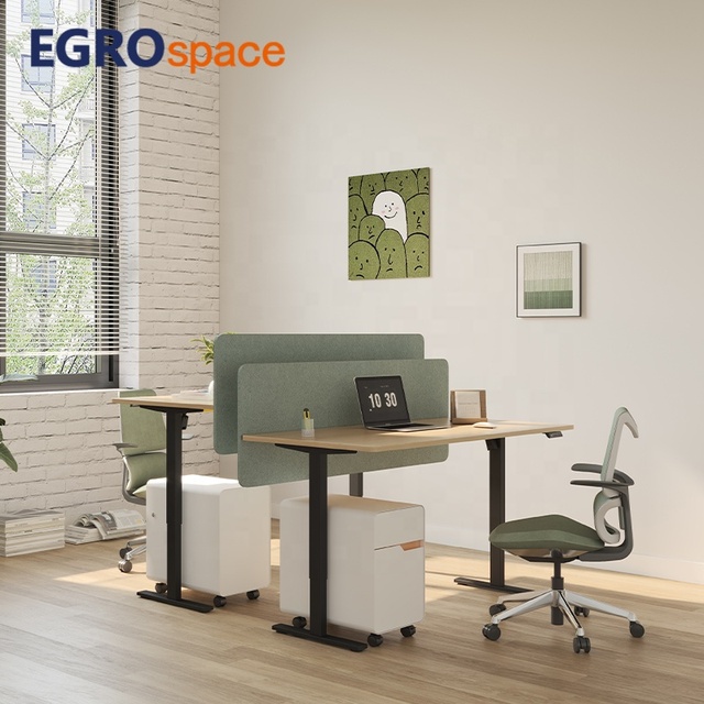EGROspace Double Side Furniture Electric Ergonomic Workstation Motor Office Adjustable Desk