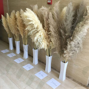 EG-A145 पम्पस पौधे सूखे फूल घर इनडोर सजावट कृत्रिम पौधे विवाह की सजावट - Product Image 2