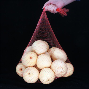 Bolsa de red de plástico para viñetas, árbol de uvas, cereza, arándano, palma, ajo, cacahuete, jengibre, aguacates, <span class=keywords><strong>mirtilo</strong></span> - Product Image 4