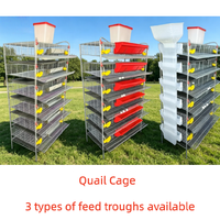 Cage d'élevage durable pour cailles et perdrix avec ligne d'eau intégrée et nichoir à convoyeur pour fermes à haut rendement