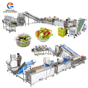 Fengxiang OEM & ODM Salad Process Line Baby <b>Vegetable</b> Vortex Washing Drying Machine - Product Image 2