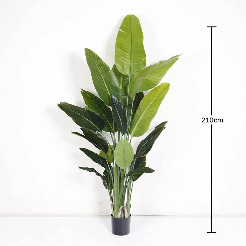 210cm