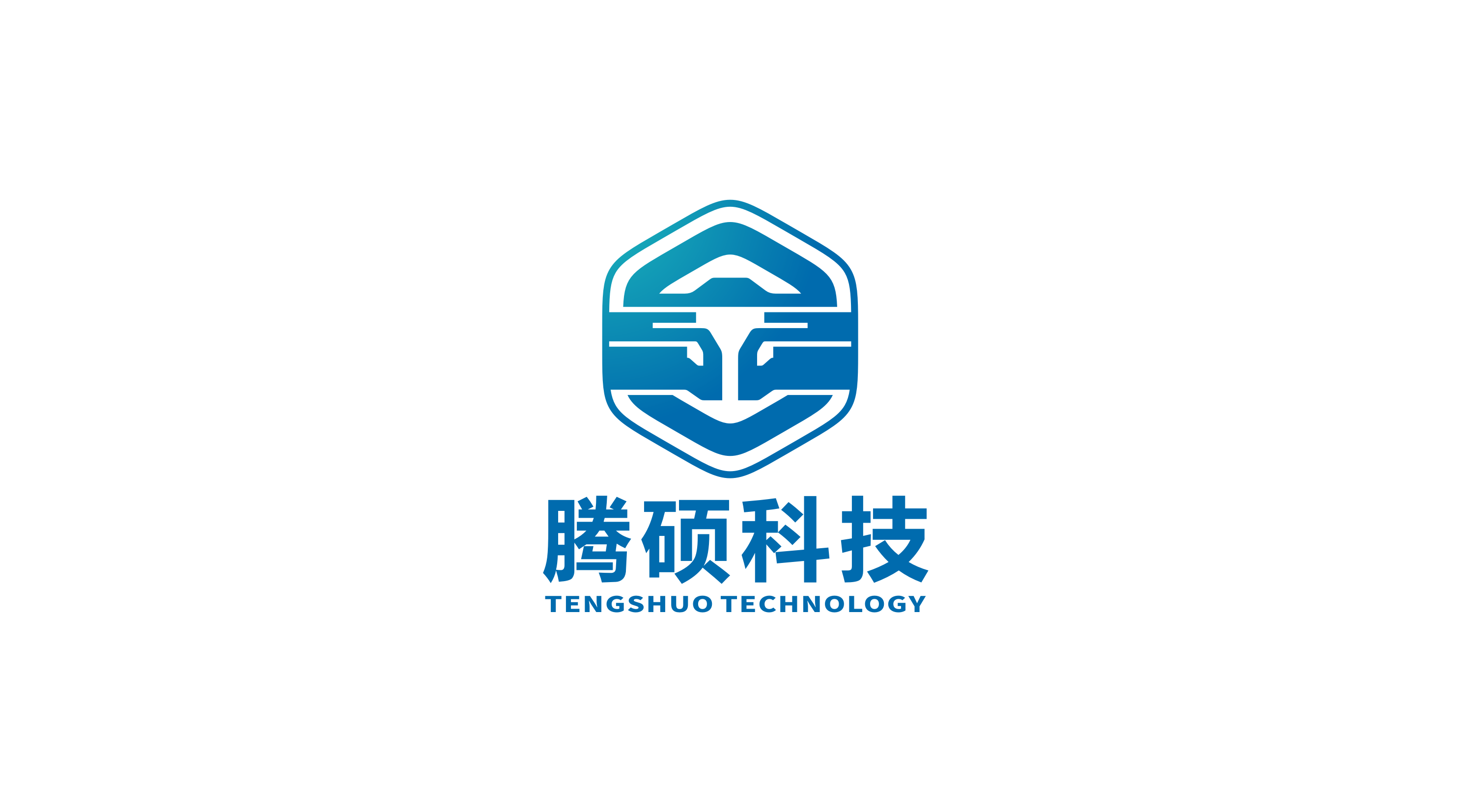 Foshan Tengshuo Technology Co., Ltd. logo