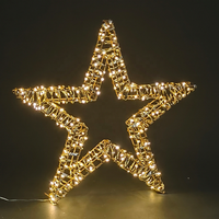 Étoile de Noël Lumineuse avec Film PE Or Champagne, Cadre en Fer Argenté, Fil de Cuivre Blanc Chaud LED pour Décoration de Table de Fêtes