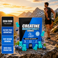 Gummies de créatine saveur myrtille pour la croissance musculaire, supplément nutritionnel sportif, logo personnalisé, approvisionnement en gros, directement de l'usine