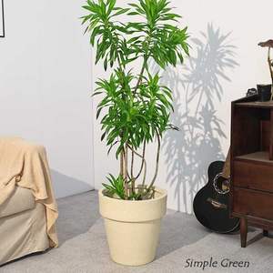 Maceta Extra Grande <span class=keywords><strong>de</strong></span> Cemento y Arcilla <span class=keywords><strong>de</strong></span> Magnesio, Estilo Nórdico, para Plantas Verdes <span class=keywords><strong>de</strong></span> Interior/Exterior - Product Image 5