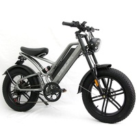 20 pouces gros pneu adulte vélo électrique batterie au Lithium vers le bas Tube moyeu arrière moteur vélo électrique Ebike