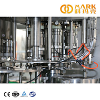Ligne de remplissage d'eau potable, plante de Production d'eau minérale, ml