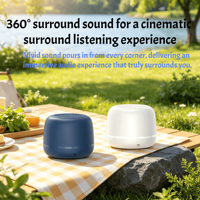 Mini haut-parleur Bluetooth 5.3 sans fil en plastique, 5W stéréo, AirPlay, multicolore, autonomie prolongée, cordon de suspension, USB, carte TF, portable