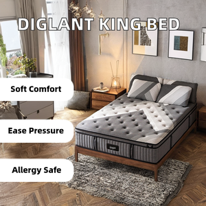 Diglant 14 inch hiện đại mềm sang trọng lai Bộ nhớ Bọt Túi lò xo Nệm Vua Kích thước hỗ trợ áp lực cứu trợ miễn phí vận chuyển - Product Image 2