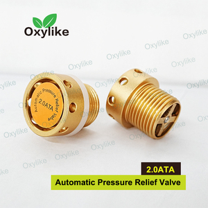 2026 Nueva Válvula de Alivio de Presión Automática de Alta Calidad para Electrodomésticos, Piezas para Cámara de Oxígeno Hiperbárico HBOT - Product Image 2
