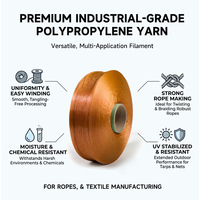 Fast Delivery Multifilament Yarn Anti-Uv FDY Solid Yarn Multicolored 100% Polypropylene Yarn for Backpacks