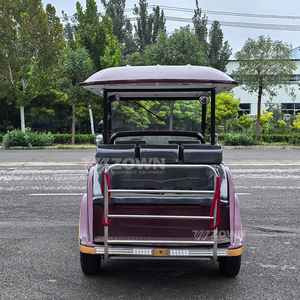 Voiture de tourisme électrique classique de luxe rétro 6 places, chariot de golf vintage à batterie pour la réception d'hôtel et le tourisme en zone panoramique - Product Image 4