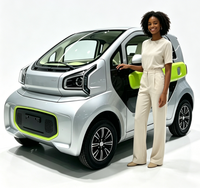 Micro-voiture électrique à cabine fermée 4 places, véhicule électrique à faible vitesse, conduite à gauche ou à droite en option, avec système de chauffage et caméra de recul pour adultes