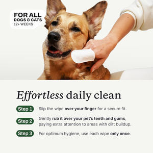 Limpiador de dientes para perros y gatos con etiqueta privada GMP, productos de higiene bucal, Limpieza Profunda, toallitas dentales para el cuidado de los dedos para perros y Mascotas - Product Image 3