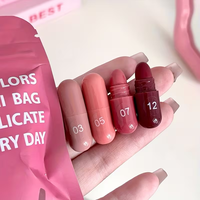 Rouge à lèvres mini capsule mat vegan longue tenue, haute qualité, résistant à l'eau, certifié HALAL, 5g, personnalisable avec votre logo (marque privée)