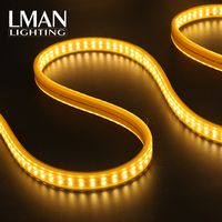 Bande lumineuse LED à double ligne SMD2835 12mm 180LEDs/m, blanc chaud RGB, gradation, étanche IP65, télécommande