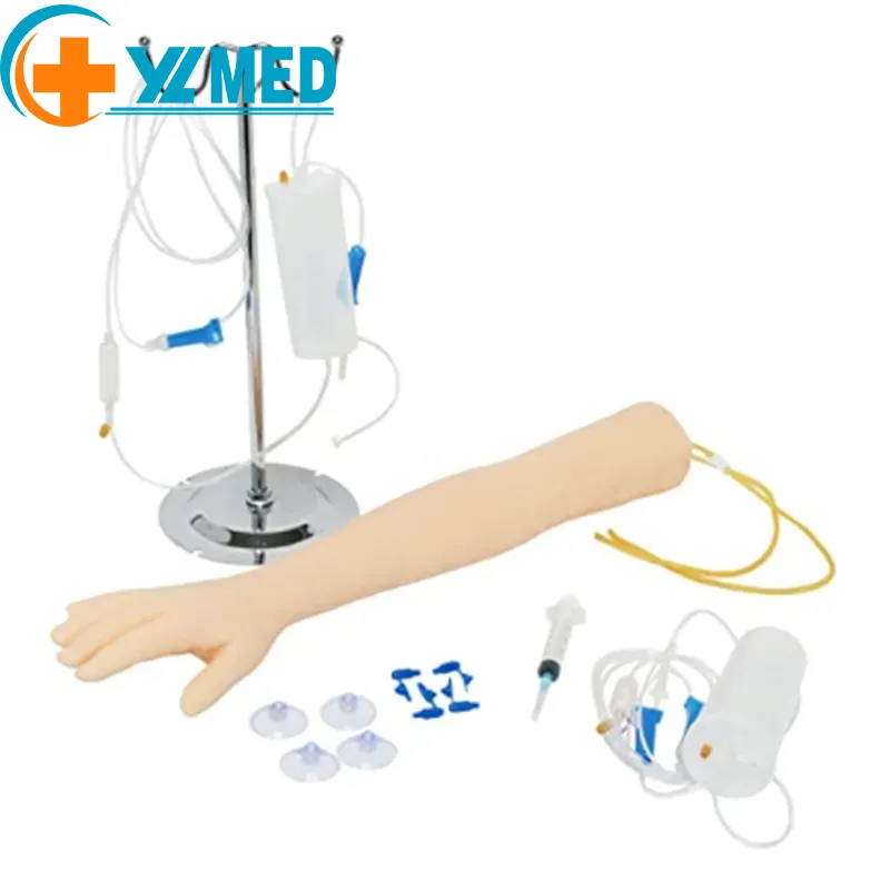 Science médicale Un bras d'exercice de ponction veineuse conçu pour la formation médicale et le perfectionnement de la ponction veineuse