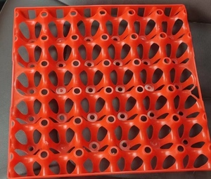 plastic chicken and quail egg tray poultry farming equipment