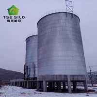 Büyük Ölçekli Düz Tabanlı Tahıl Depolama Silosu Oluklu Galvaniz Çelikten Tahıl Deposu ve Lojistik İçin 3000-20000 Ton