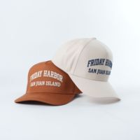 Op maat gemaakte geborduurde, hoogwaardige, gestructureerde Oxford katoenen canvas promotie souvenir baseballpet met stippenpatroon
