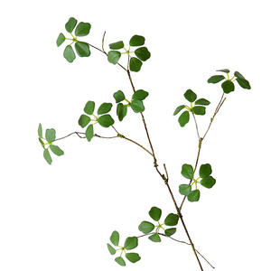 Longstar, venta al por mayor, barato <span class=keywords><strong>y</strong></span> bonito, Zen estilo chino, tela de seda de ratán, plantas artificiales decorativas para interiores <span class=keywords><strong>y</strong></span> exteriores - Product Image 1