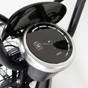 DISIYUAN 16*3.0 gros pneus e-bike meilleure vente vélo électrique fabriqué en chine vélo électrique pour la restauration rapide envoyer un vélo cargo électrique - Product Image 5