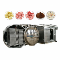 Vacüüm-vriesdroger op maat, lyofilisator, aardbeien-vriesdroogapparatuur voor fruitvriesdroogverwerkingslijn