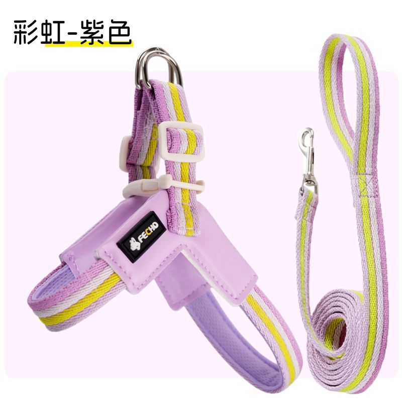Ensemble violet