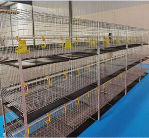 Cage à poulets ventilée de haute qualité avec système d'alimentation pour élevage avicole, équipement de ferme avicole, longue durée de vie - Product Image 1