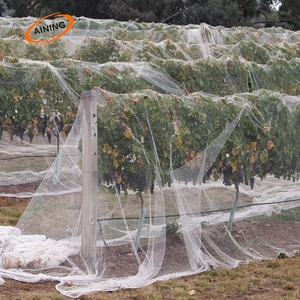 <span class=keywords><strong>Filet</strong></span> anti-oiseaux pour élevage <span class=keywords><strong>de</strong></span> crevettes, riziculture et arbres fruitiers (<span class=keywords><strong>cerisier</strong></span>, pommier) - Product Image 6