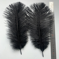 Plumes d'autruche d'Afrique du Sud 45-50 cm, véritables plumes orange, pour décoration artistique, carnaval, grand décor, plumes de chapellerie, décoration de mariage, en gros