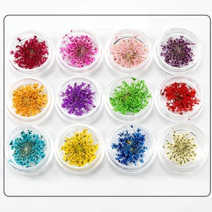 ผงกลิตเตอร์ตกแต่งเล็บแห้งสำหรับงาน DIY ขายส่ง 6 สี/ชุด 12 สี/ชุด - Product Image 1